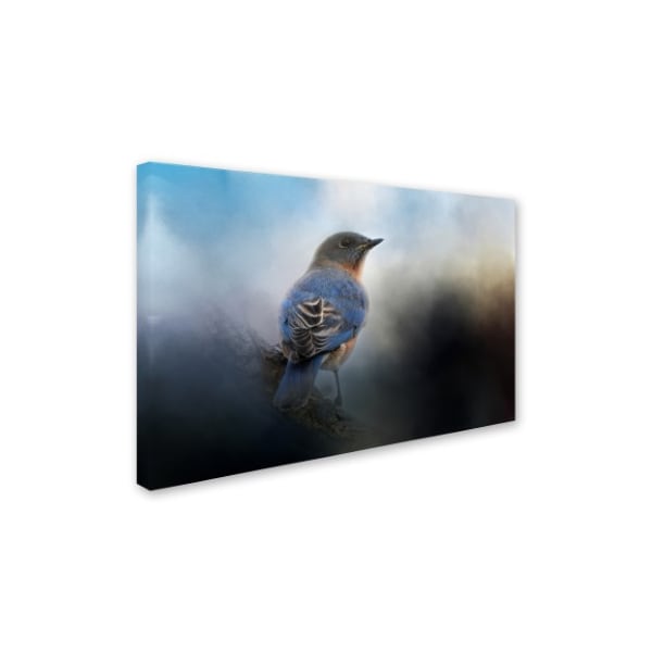 Jai Johnson 'Blue Winter Visitor' Canvas Art,22x32